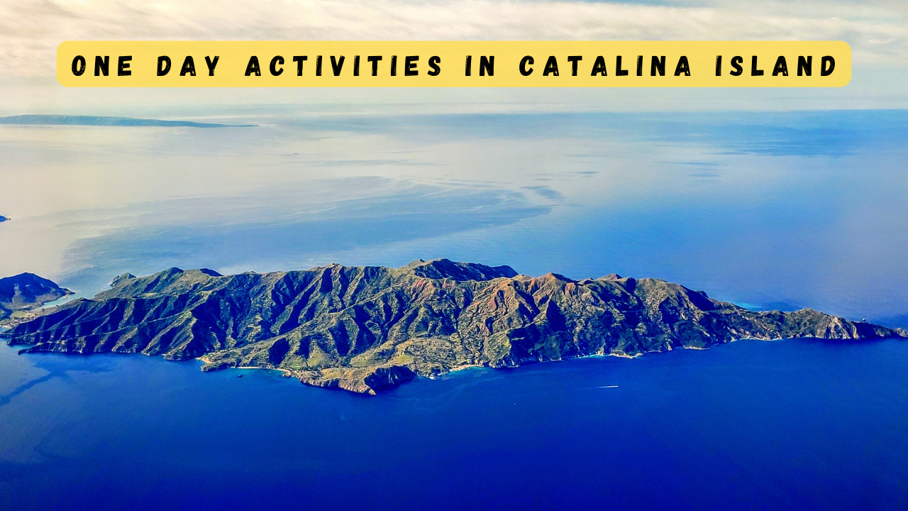 What to Do in CATALINA ISLAND in 1 Day | Best Travel Itinerary